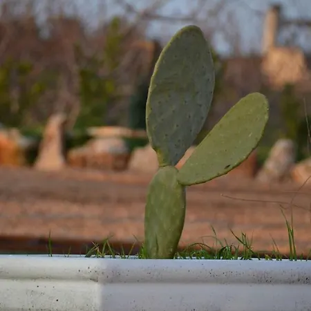 Bed & Breakfast Masseria Poli Conversano