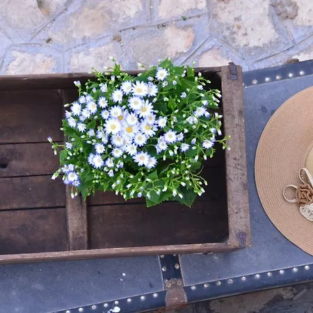 Bed & Breakfast Masseria Poli *